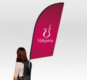 ALP MEXICO Avisos gratis en Mexico lindo en Guadalajara |  Chalecos con banner con marca y logo, Chalecos con banner