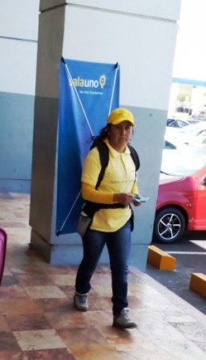 ALP MEXICO Avisos gratis en Mexico lindo en Guadalajara |  Publicidad ambulante son cu marca y logo, Publicidad ambulante