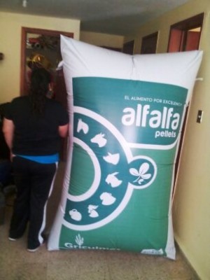 ALP MEXICO Avisos gratis en Mexico lindo en El Naranjo |  Inflables promocionales gigantes en formas y tama&Ntilde;os, Inflables promocionales gigantes