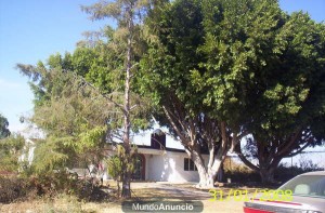  Avisos gratis en Mexico lindo en Puebla |  LINDO RANCHO CON CASA E INVERNADEROS, UNICA OPORTUNIDAD