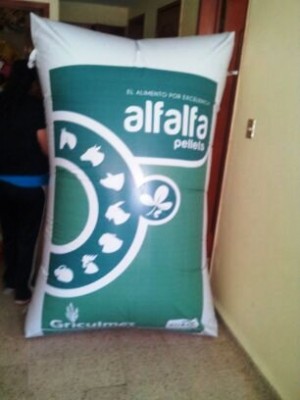 ALPMEXICO Avisos gratis en Mexico lindo en Villahermosa |  Figuras inflables publicitarias para tu evento en venta, Figuras inflables publicitarias