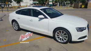 gabriela altamirano Avisos gratis en Mexico lindo en Col&oacute;n |  Pe&ntilde;afiel vende audi a4 tripttonic sedan 2014, Autos usados 