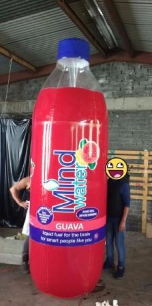 ALP MEXICO Avisos gratis en Mexico lindo en Sinaloa |  Inflables publicitarios gigantes en varias formas a elegir, Inflables gigantes