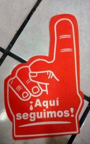 ALP MEXICO Avisos gratis en Mexico lindo en Monterrey |  Manotas hechas en fomi y con logos impresos, Manotas de fomi
