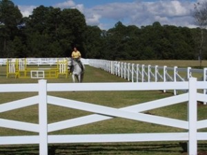 Avisos gratis en Mexico lindo en Quer&eacute;taro |  CERCAS Y CORRALES PARA EL GANADO, CERCAS PARA DELIMITAR RANCHOS.