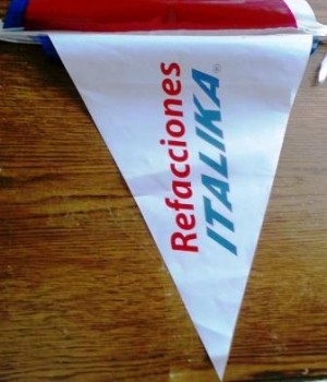 ALPMEXICO Avisos gratis en Mexico lindo en Monterrey |  Banderines con logotipo y publicidad impresos de colores, Banderines con logotipo y publicidad impresos