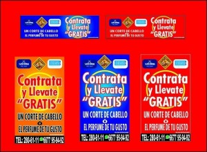 yareli terrazas Avisos gratis en Mexico lindo en Cosal&aacute; |  Escuela de manejo culiacan animate aprobecha nuetras promociones!!, Auto escuela culiacan
