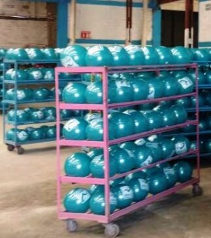 ALP MEXICO Avisos gratis en Mexico lindo en Aguascalientes |  Pelotas de pvc con logo en serigraf&iacute;a a 1 tinta, Pelotas