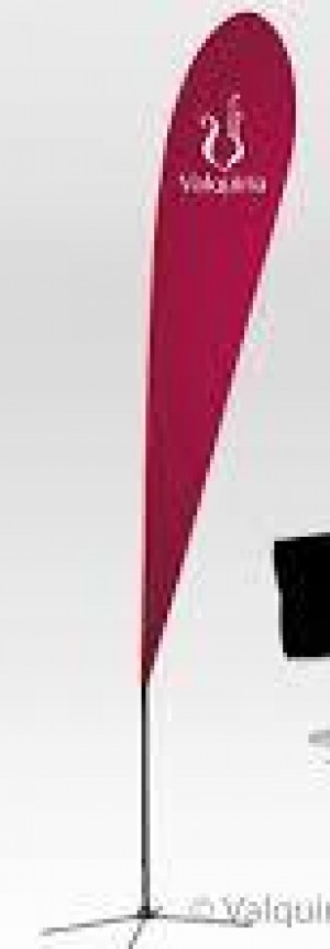 ALP M&eacute;xico Avisos gratis en Mexico lindo en Guadalajara |  Banderas con su publicidad impresa flag banner, Flag banners