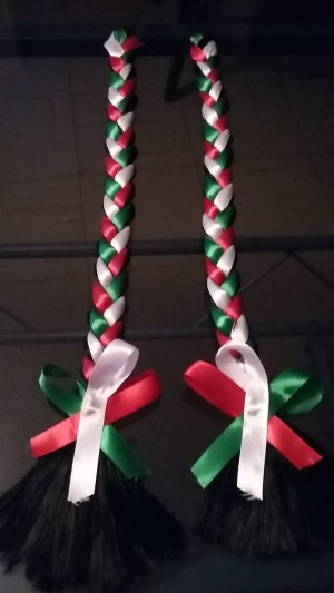 Fashion Publicity Avisos gratis en Mexico lindo en Irapuato |  Productos tricolor para eventos masivos restaurantes fiestas, Fiestas patrias
