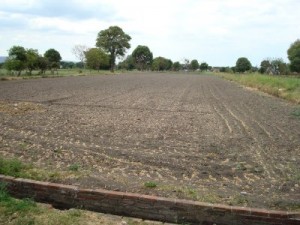  Avisos gratis en Mexico lindo en Puebla |  se venden 3  1/2 hectareas en atlixco puebla, buena inversion