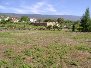  Avisos gratis en Mexico lindo en Cuernavaca |  Terreno en Cuernavaca, Morelos, Lomas de Ahuatepec