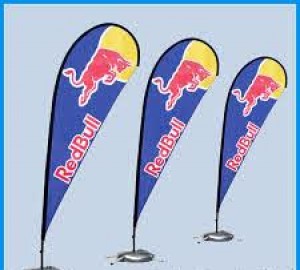 ALP M&eacute;xico Avisos gratis en Mexico lindo en Chihuahua |  Flag banners o banderas publicitarias varios modelos, Flag banners