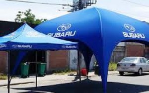 ALP MEXICO Avisos gratis en Mexico lindo en Puebla |  Carpas en varios modelos y colores a elegir, Carpas