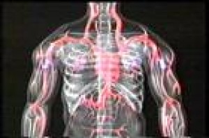 alex Avisos gratis en Mexico lindo en Toluca |  Nunca te detengas, es posible generar dinero...!, FOR MOR DE MEXICO