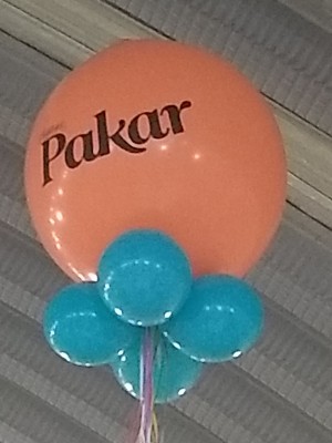 ARMANDO CEDEÑO Avisos gratis en Mexico lindo en Guanajuato |  Globos de latex para decoracion gigantes en leon, Globos de latex gigantes