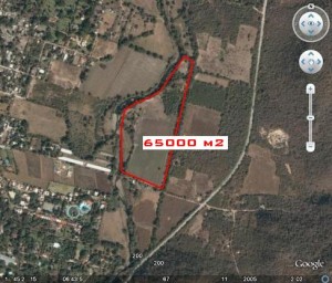  Avisos gratis en Mexico lindo en Tlaltizap&aacute;n |  vende terreno  en  el municipio de tlaltizapan morelos, vende terreno en ticuman morelos