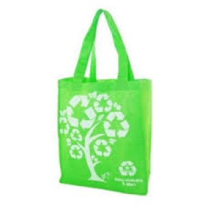 ALP MEXICO Avisos gratis en Mexico lindo en Aguascalientes |  Morrales y bolsas para campaÑas publicitarias y politicas, Bolsas publicitarias