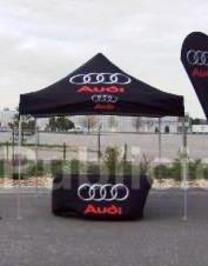 ALP MEXICO Avisos gratis en Mexico lindo en Tapachula |  Carpas plegables varios tamaÑos y con impresiones, Carpas