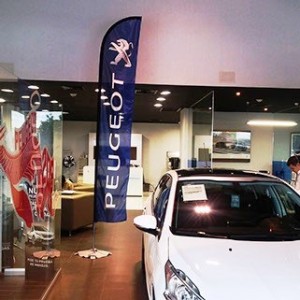 ALP MEXICO Avisos gratis en Mexico lindo en Tlalpan |  Banderas con publicidad impresa varios modelos y colores, Flag banners