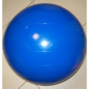 ALP MEXICO Avisos gratis en Mexico lindo en Guadalupe Victoria |  Pelotas para pilates resistentes varioscolores y modelos, Pelotas pilates