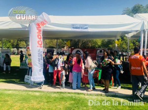 ALP MEXICO Avisos gratis en Mexico lindo en Cuajimalpa de Morelos |  Sky dancers para toda ocasion en venta, Skydancers