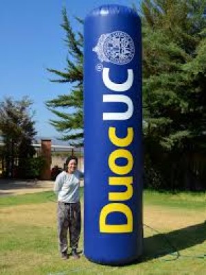 ALP MEXICO Avisos gratis en Mexico lindo en Villahermosa |  Tubos publicitarios inflables marios colores y diseÑos, Tottems