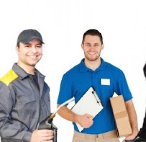 ALP MEXICO Avisos gratis en Mexico lindo en Aguascalientes |  Prendas para vestir promocionales gran variedad de diseÑos, Uniformes