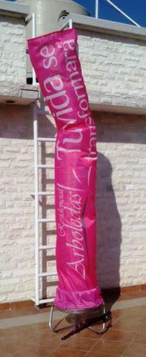 ALP MEXICO Avisos gratis en Mexico lindo en Tepic |  Sky dancers con propaganda politica en monterrey, Sky dancers