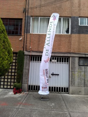 ALP MEXICO Avisos gratis en Mexico lindo en Ciudad de Mexico |  Sky dancers con logos de partidos politicos, Sky dancers