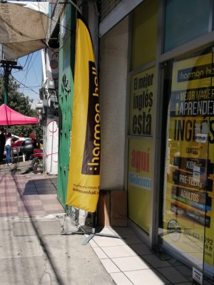 Fashion Publicity Avisos gratis en Mexico lindo en Pachuca de Soto |  Flag banners modernos diseños y modelos con logo, Flag banners