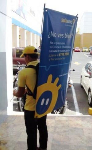 ALP MEXICO Avisos gratis en Mexico lindo en Ciudad de Mexico |  Banners publicitarios ambulantes con sus logos y publicidad, Publicidad movil