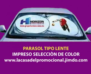 Javier Anuncios gratis en Mexico en Aguascalientes |  CampaÑas politicas de exito: parasoles tipo lente para auto, Los parasoles publicitarios para autos orgullosamente mexicanos