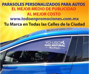 Javier Avisos gratis en Mexico lindo en Monterrey |  Parasoles para ventanas de auto para campaÑas, Marca:  55 81 16 63 81 fabricamos sombras y cortinas para auto