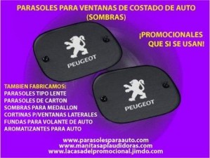 Javier Anuncios gratis en Mexico en Guadalajara |  Hacemos cortinas personalizadas para ventanas de auto, En el 55 81 16 63 69 encuentras sombras y cortinas para  auto