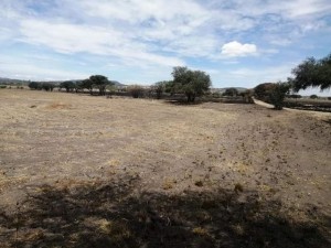 New alternative Avisos gratis en Mexico lindo en Tequisquiapan |  Terrenos campestres en venta en tequisquiapan de 200 m2, Terrenos en venta campiranos