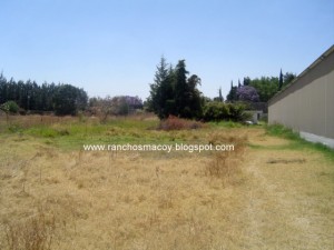 hector Avisos gratis en Mexico lindo en Puebla |  terrenos en venta, atlixco, puebla, huertas, lotes en venta,puebla,atlixco