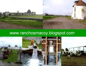 macoy Avisos gratis en Mexico lindo en Puebla |  Haciendas en venta,Ranchos en Puebla,Terrenos en Atlixco,Mexico, Haciendas,Ranchos