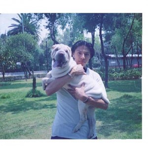  Avisos gratis en Mexico lindo en Ciudad de Mexico |  SHARPEI BUSCA NOVIA en el DF , Tengo un sharpei macho de 1 a&ntilde;o 10 meses de edad estamos en busca de su media na