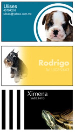  Avisos gratis en Mexico lindo en Iztapalapa |  tarjetas con foto, tarjetas con foto
