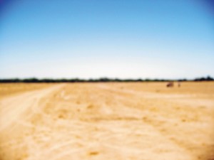 Marcia J&aacute;ureg Avisos gratis en Mexico lindo en La Paz |  Lotes Residenciales en Rancho Los Palmares, La Paz, BCS., Convierta su dinero en PATRIMONIO