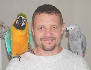  Avisos gratis en Mexico lindo en Piedras Negras |  Huevos frescos loros y papagayos est&aacute;n disponible, Huevos frescos loros y papagayos est&aacute;n disponible