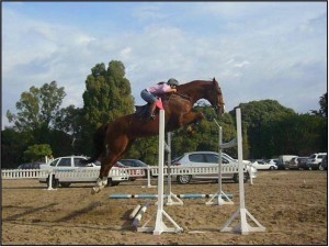 Argentina Horses Avisos gratis en Mexico lindo en La Paz |  Argentina Horses Caballos para Salto, Caballos para salto