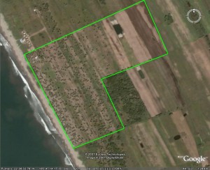  Avisos gratis en Mexico lindo en Mazatl&aacute;n |  Terrenos Panor&aacute;micos frente al Pac&iacute;fico, Terrenos frente al Pac&iacute;fico