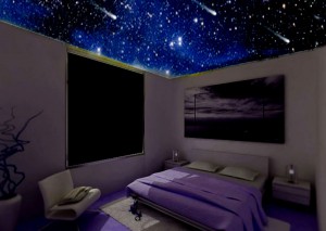 Israel de la Vega Avisos gratis en Mexico lindo en Coyoac&aacute;n |  Viendo al techo Universe Deco, Mundo de decoracion,Habitacion estrellada,Recamara techo de estrellas,