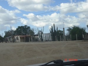  Avisos gratis en Mexico lindo en Navojoa |  HOUSE ON SALE IN MASIACA SONORA MEXICO COMMUNITY, house, rustic, sonora, nature, beach, Alamos, las bocas, huatabampo