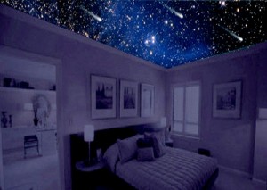 Israel de la Vega Avisos gratis en Mexico lindo en Miguel Hidalgo |  Todas las estrellas Universe Deco, A oscuras se ve mejor,Contigo y las estrellas,Universe Deco,