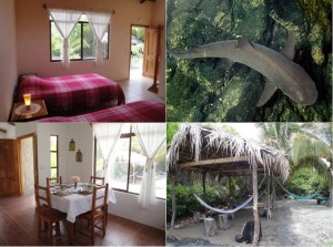 Cartago Bay Avisos gratis en Mexico lindo en Ahumada |  Vacaciones en las Islas Galapagos, Alojamiento en las Islas Galapagos
