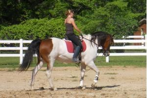 corazon Avisos gratis en Mexico lindo en Jes&uacute;s Mar&iacute;a |  cuarto de milla llamativos, cuarto de milla llamativos