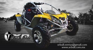 Daniel  Avisos gratis en Mexico lindo en Monterrey |  Gran Oferta de Buggies Extreme en Monterrey , motos , buggies , ofertas , buggys